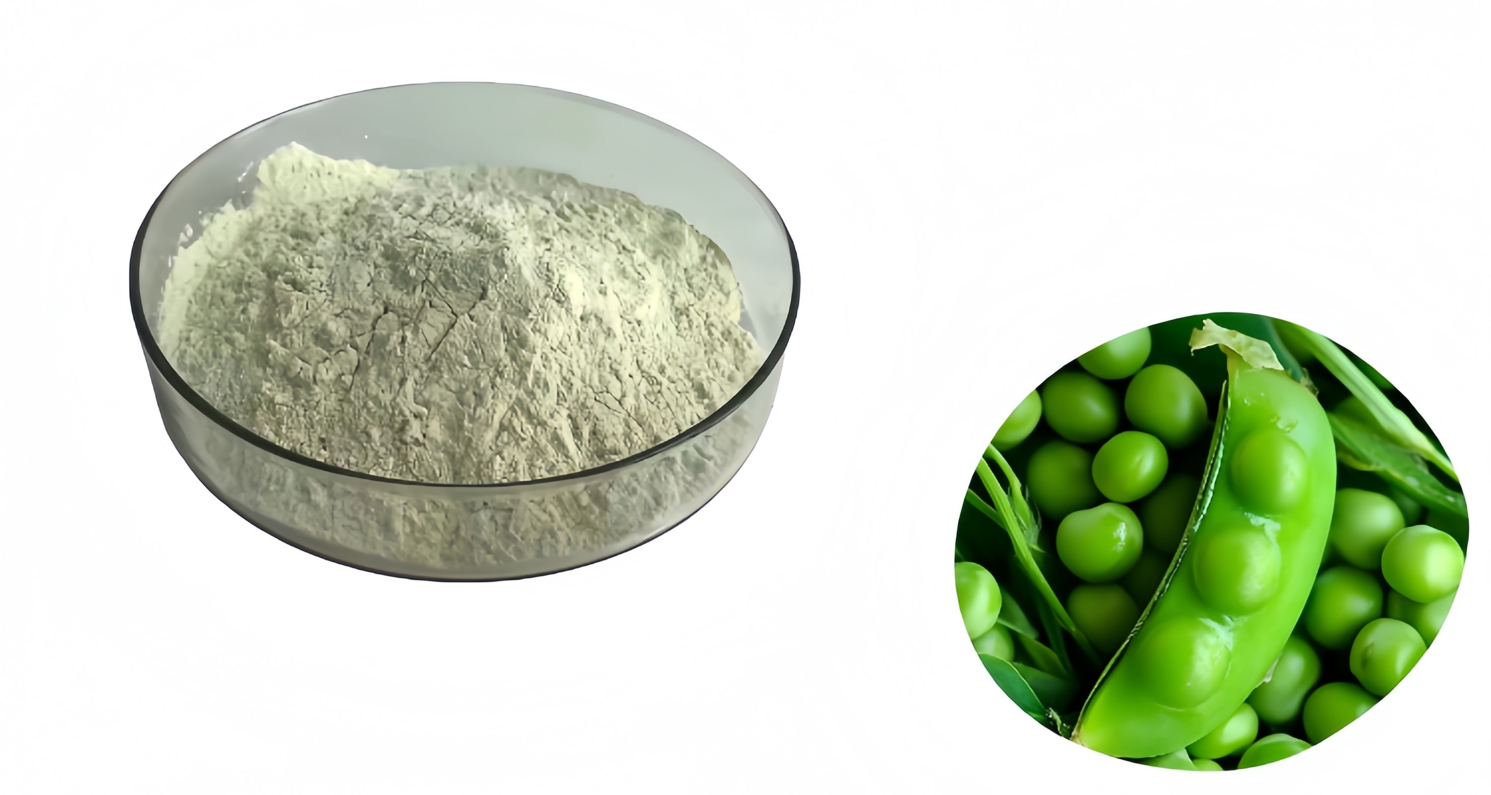 Pea Protein Details