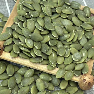 Fresh Pumpkin Seed Kernels Rich in Protein and Nutrients