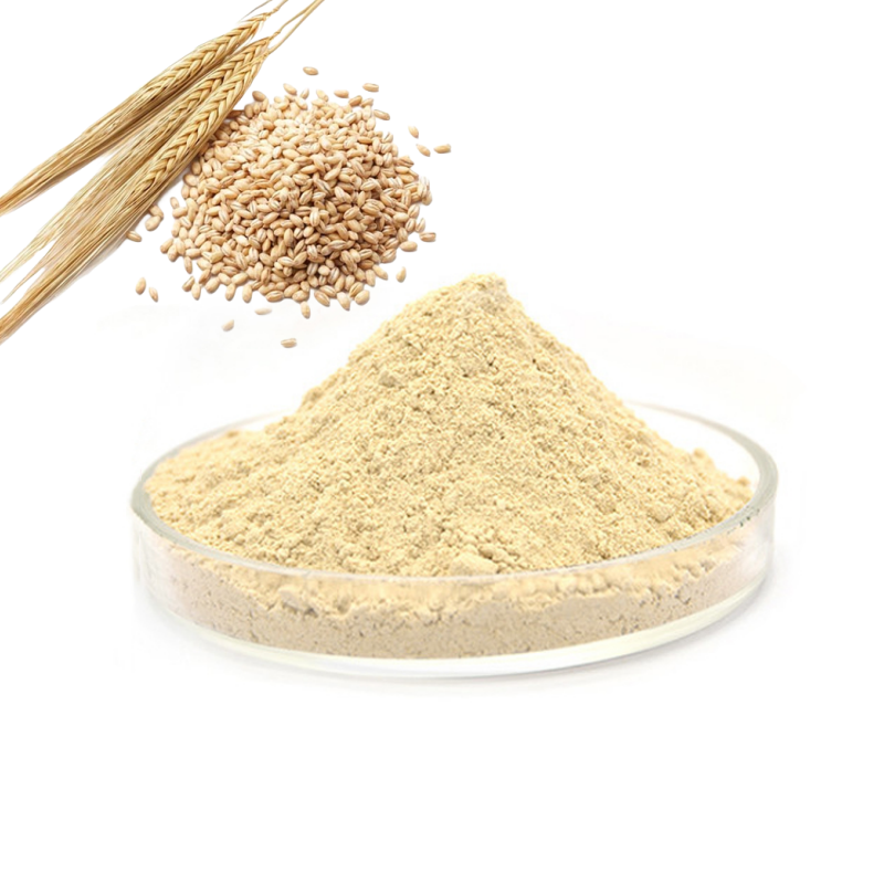 Bulk Organic Wheat Extract Powder Water Soluble Wheat Protein Peptide for Sale