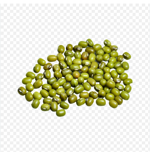 Mung Beans Detail 2