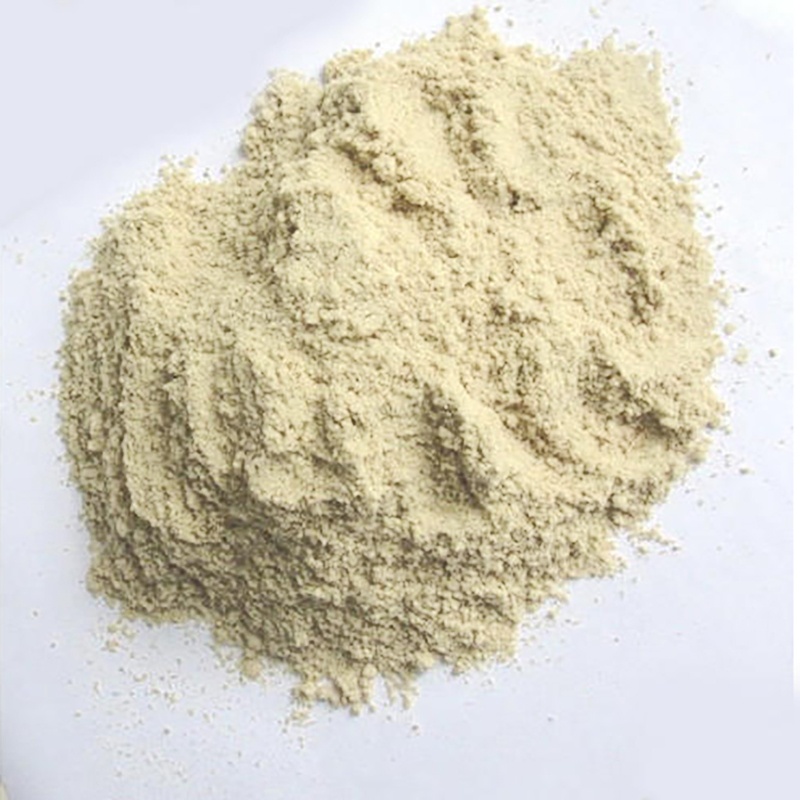 Best Selling Products Plant Extract Kosher Organic Bran Organic Brown Rice Extract Rice Protein Powder 80%