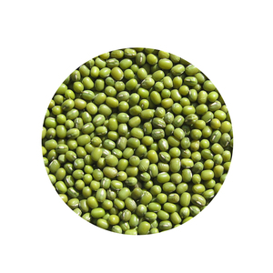 Sortex Cleaned Green Mung Beans Fresh And Dried Bulk Packaging 99% Purity Low Moisture Best Price Uzbekistan Vigna Cowpea Dal