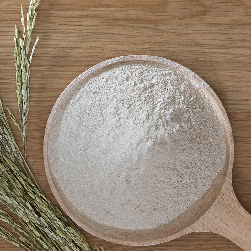 Best Selling Products Plant Extract Kosher Organic Bran Organic Brown Rice Extract Rice Protein Powder 80%