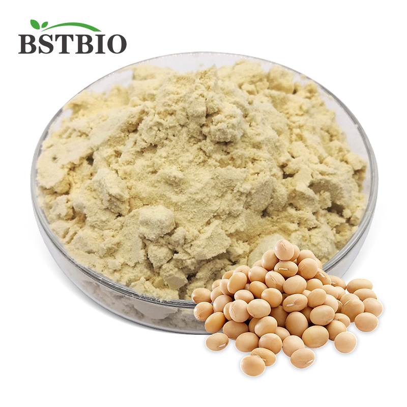 Soy Protein Isolate Powder