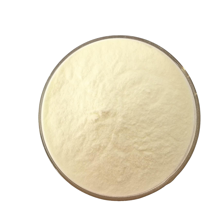 Premium JIAYI Halal Certified Non-GMO Pea Protein Peptide Powder 95% Protein Content Small Molecule Water-Soluble Nutrition