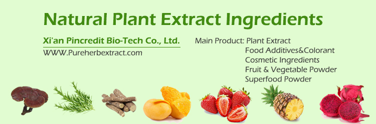 Pumpkin Seed Extract Powder