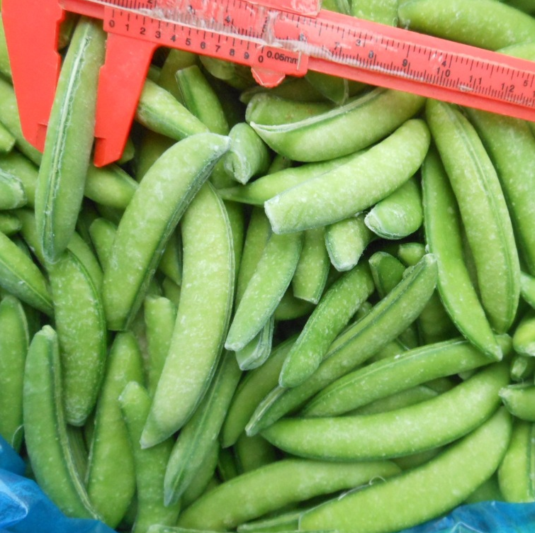 IQF Frozen Whole Mung Beans Healthy Natural Beans For Sweet Soups &amp; Dessert Production