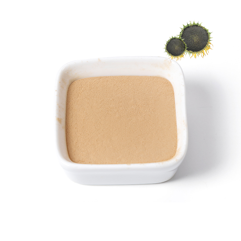 Supply 99%Purity Benefits Food Grade Sunflower Dishes Extract Protein Purity Peptide Raw Power