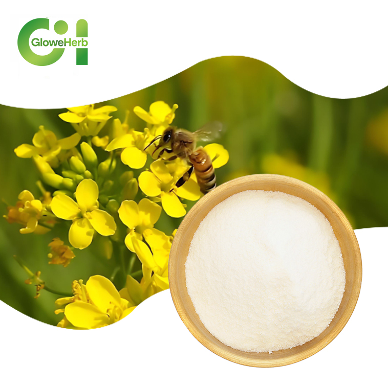 High Quality Factory Supply Pure Natural Canola Extract Oil Powder Canola Microcapsule Powder
