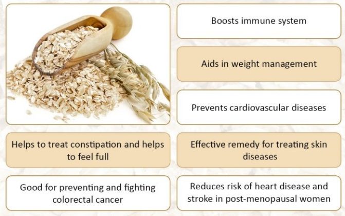 Oat Protein Powder Application