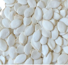 Factory Direct Supply Shine Skin Pumpkin Seed Wholesale Price Top Grade Pumpkin Seed