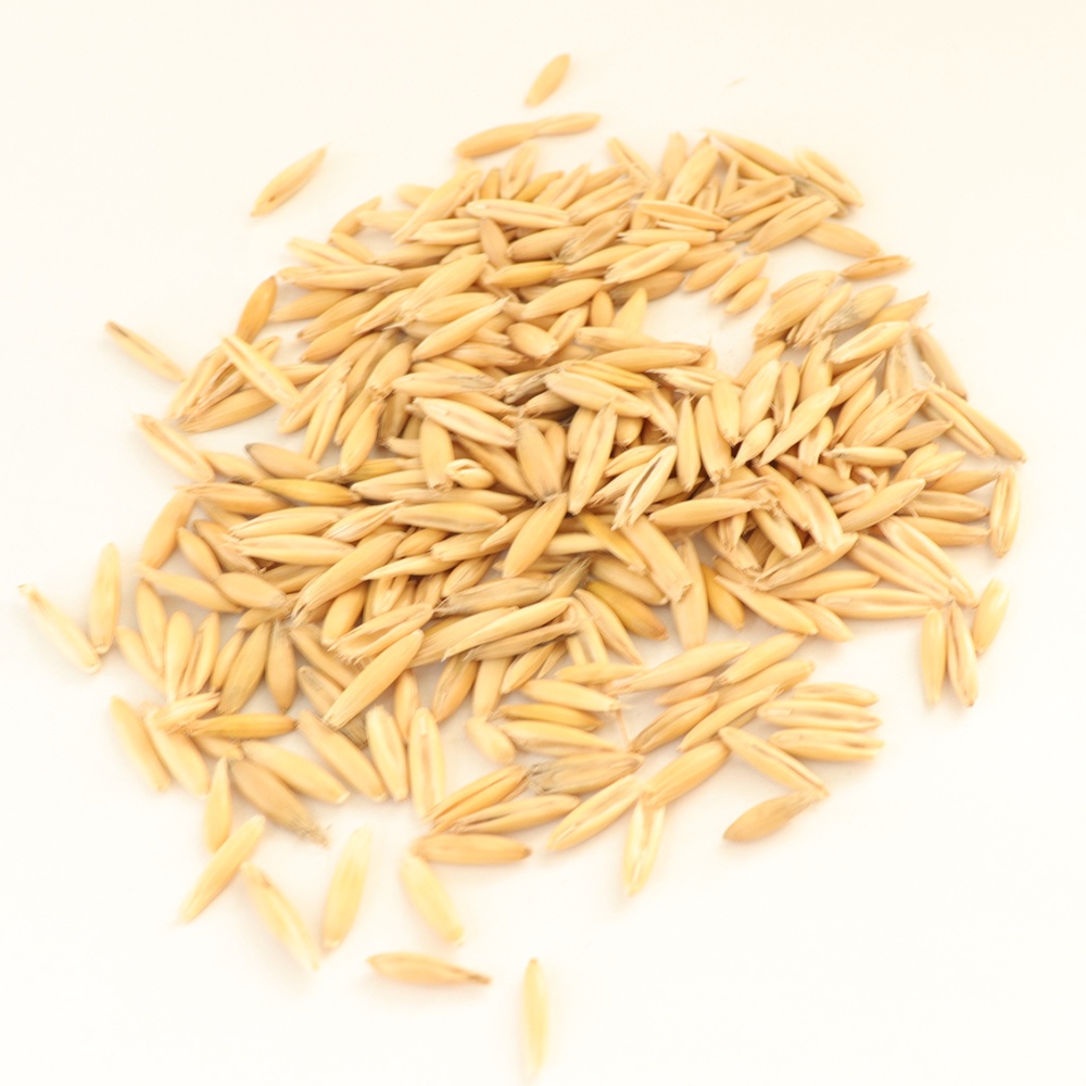 White Kidney Beans