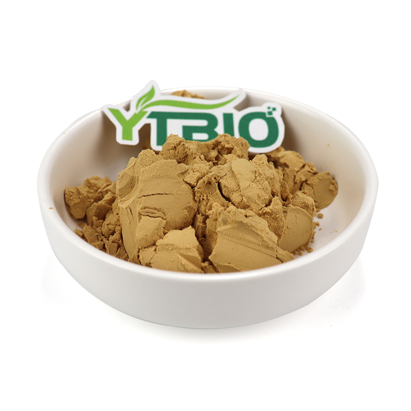 Bulk Wholesale Organic Pea Protein Powder Food Grade Plant Based Protein Supplement