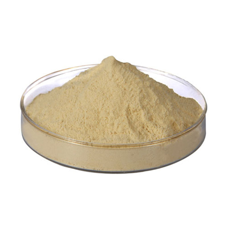65% 70% Non-Gmo Soy Concentrate ISO Soy Protein Concentrate