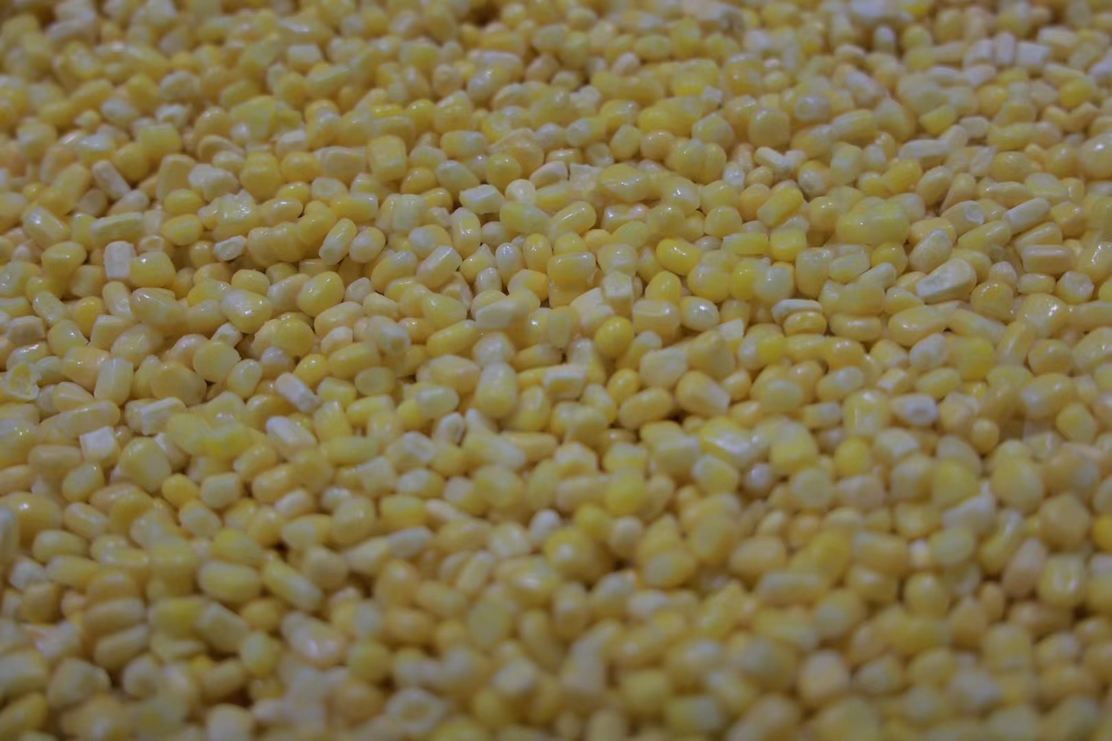 Breakfast Corn Chinese Factory Direct EU+NOP+COR Organic IQF Frozen Top Grade Whole Corn Kernels PROHARVEST