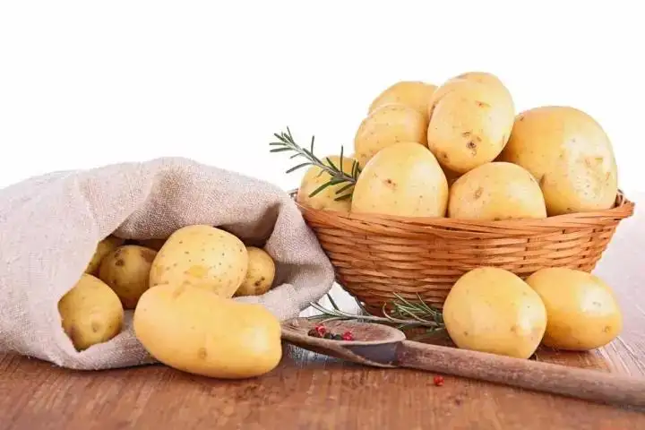 Potato Protein Isolate Production 2