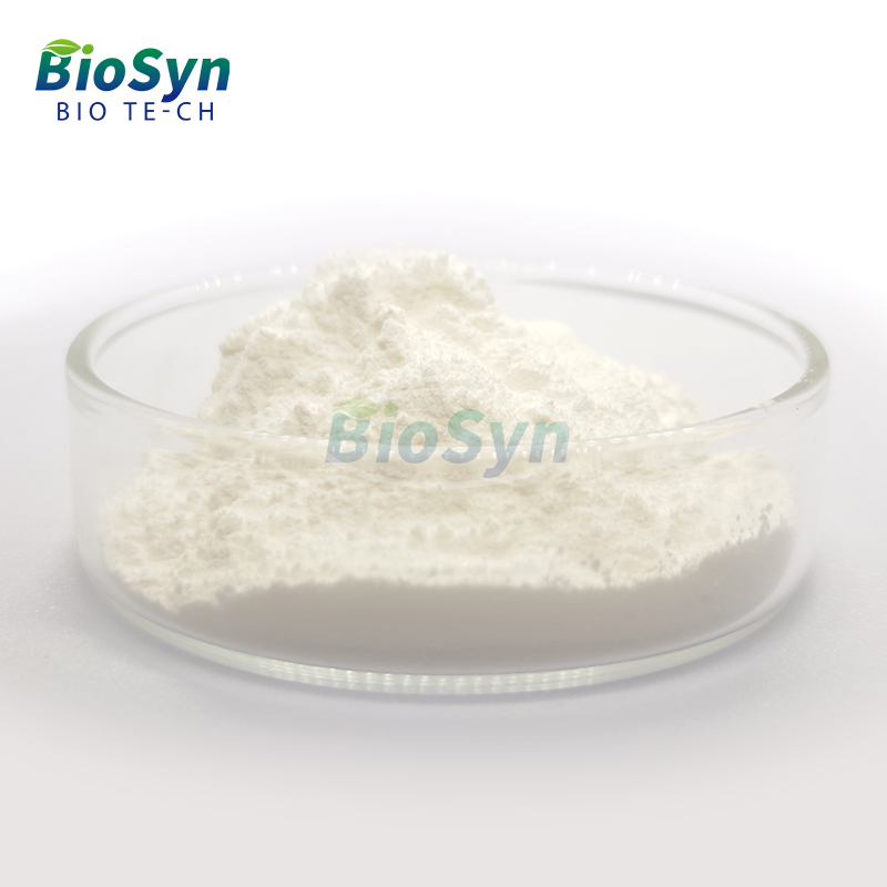 BioSyn Hot Selling Food Grade Pumpkin Seeds Extract Powder 60% Pumpkin Seed Protein Powder
