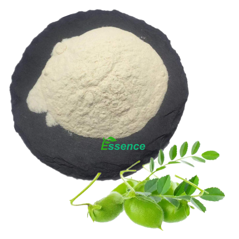 Factory Supply Pure Food Grade Garbanzo Beans Powder Aquafaba Powder Chickpea Protein
