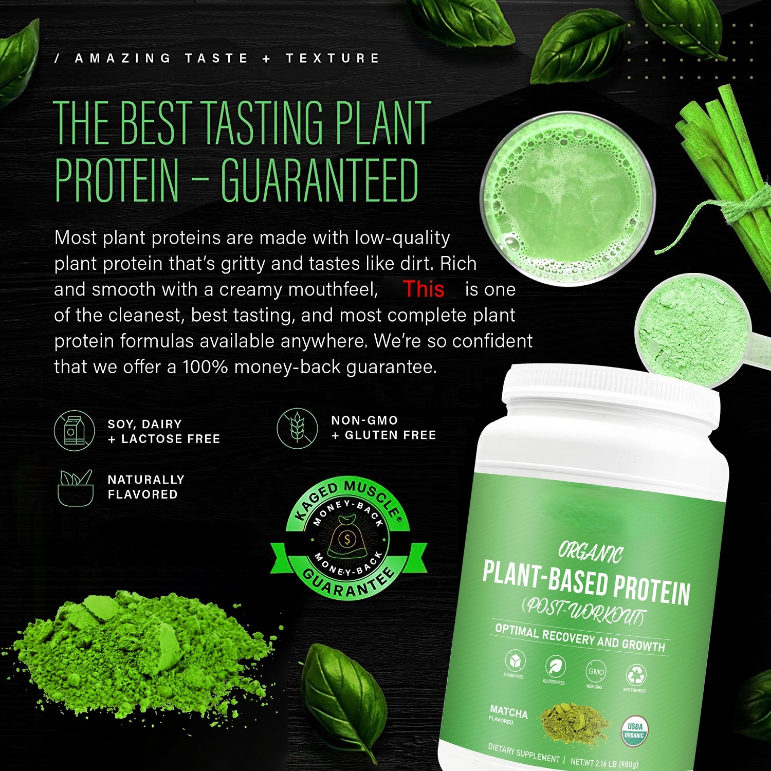 Private Label Organic Matcha Flavor Sugar-Free Plant Based Protein Powder for Trainer Post-Workout Energy Muscle Building