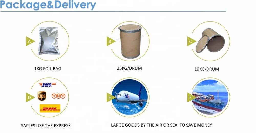 Packaging Box Option
