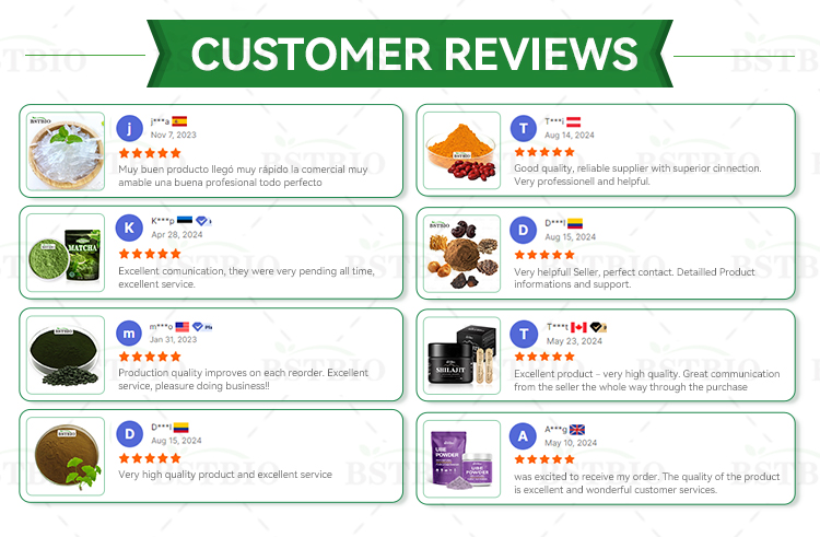 Client Feedback and Reviews