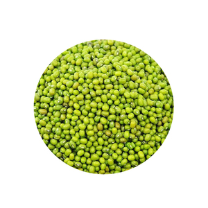 Bulk Dried Sortex Green Mung Beans High Purity Uzbekistan