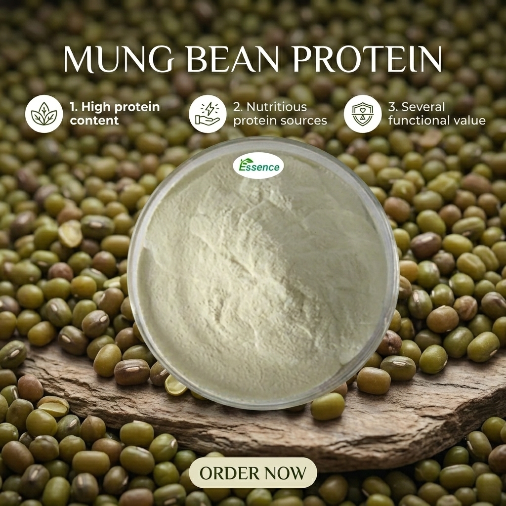Wholesale Price Vegan Protein Mung Bean Extract Powder Green Mung Bean Protein Isolate 80% 85%