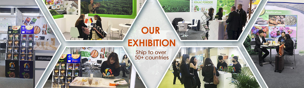 Exhibition Booth 1