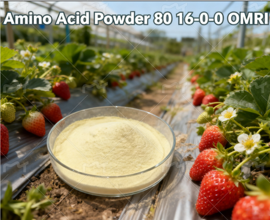 Omri Certified Hydrolyzed Protein Plant-Based Amino Acid 80% Powder-100% Water Soluble Premium Organic Fertilizer for Quality