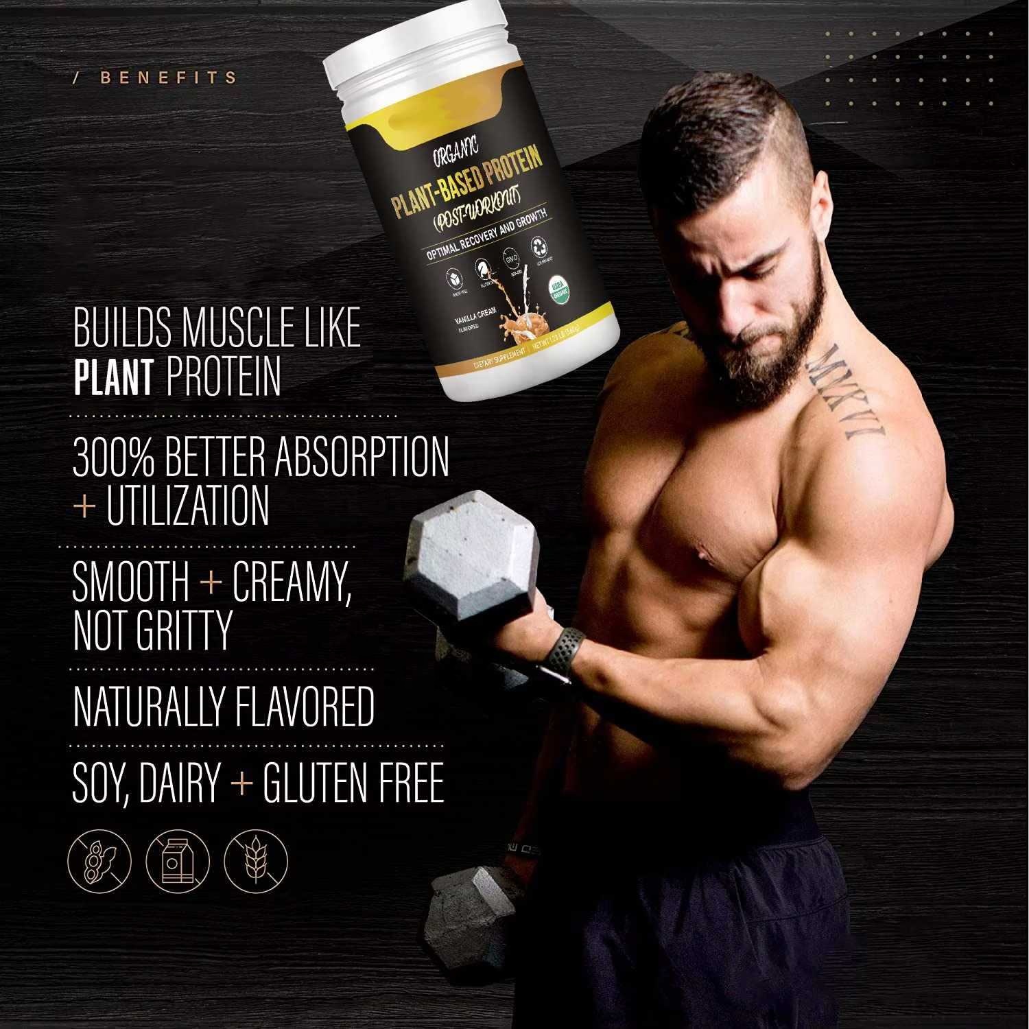 Wholesaler OEM Hot Sale Organic Plant Protein Powder Vegan for Adult Muscle Growth Diet Meal Shake 560g
