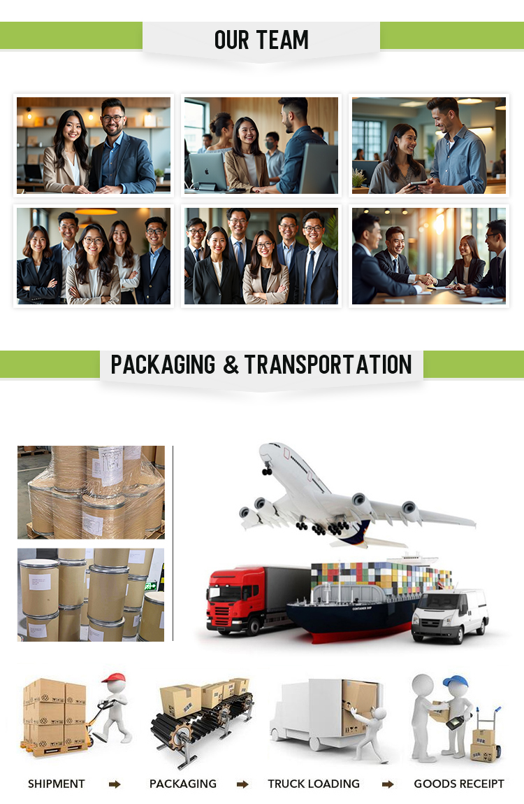 Export Qualifications