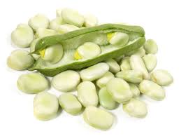 White Fava Bean Protein Isolate Powder Aloe Vera Extract Fruit Supplement HPLC Tested Variety of Broad Bean Extract
