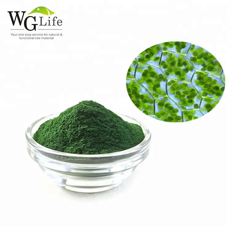 Pure Natural Raw Spirulina Algae Protein Powder 50%-90% Solvent Extracted Food Grade WGLIFE Brand Artificial Planting Drum