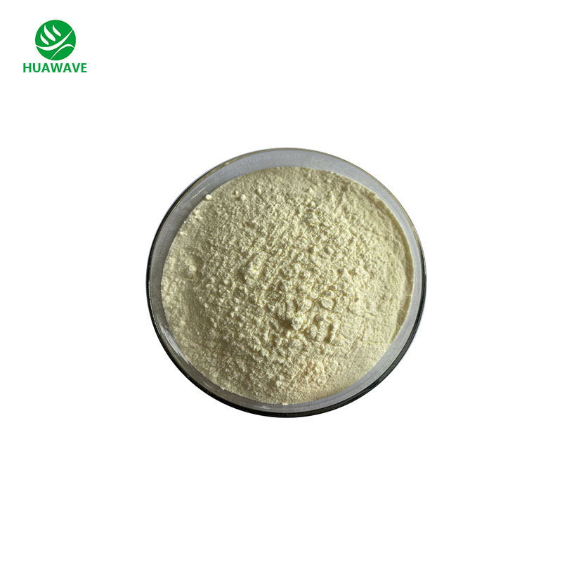Mung Bean Protein Powder Overview
