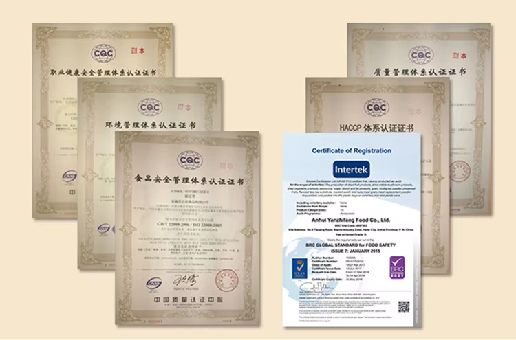 Certificate 2