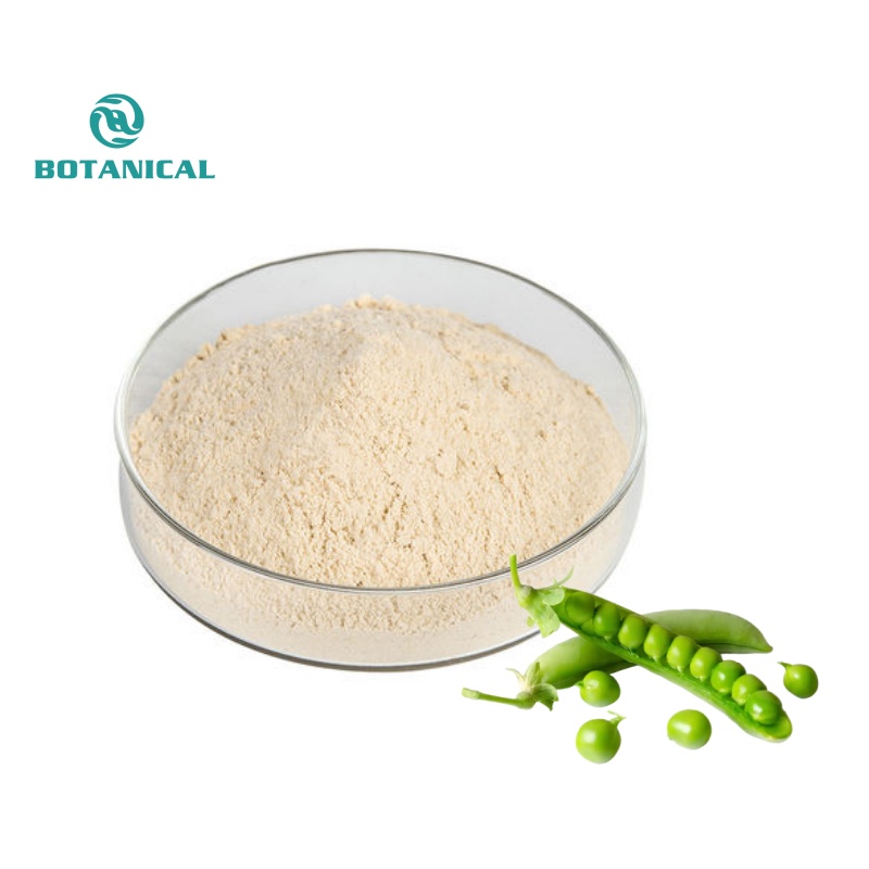 Pea Protein Analysis