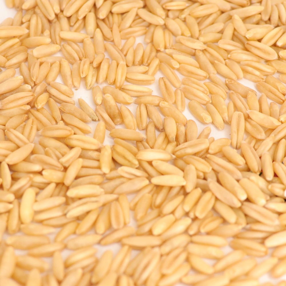 Green Mung Beans