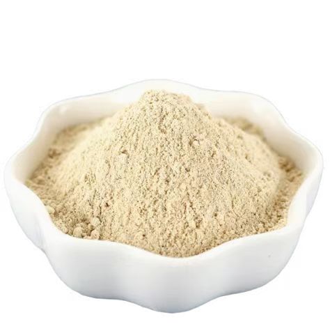Pumpkin Seed Protein Powder Raw Material