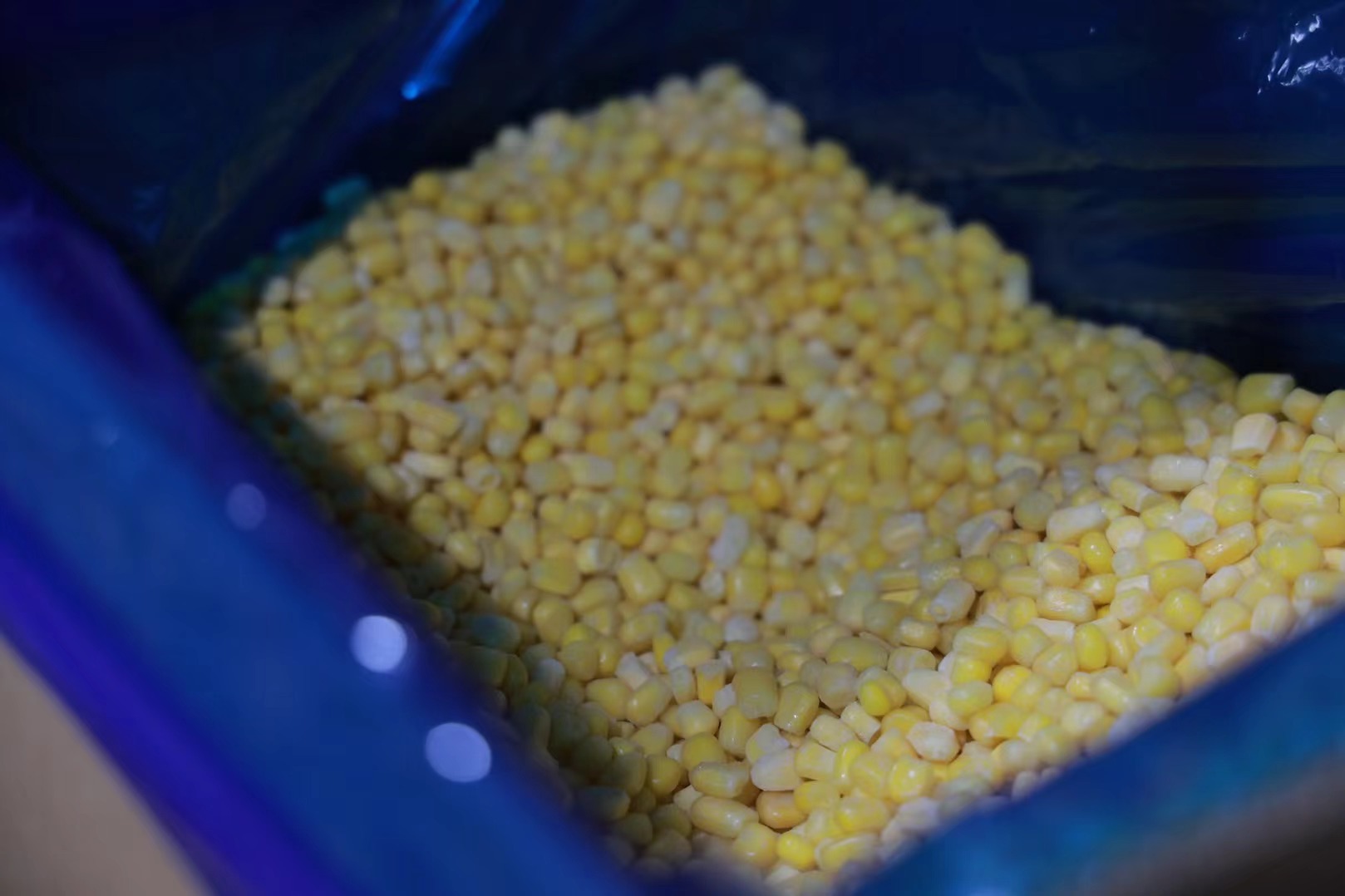 Breakfast Corn Chinese Factory Direct EU+NOP+COR Organic IQF Frozen Top Grade Whole Corn Kernels PROHARVEST