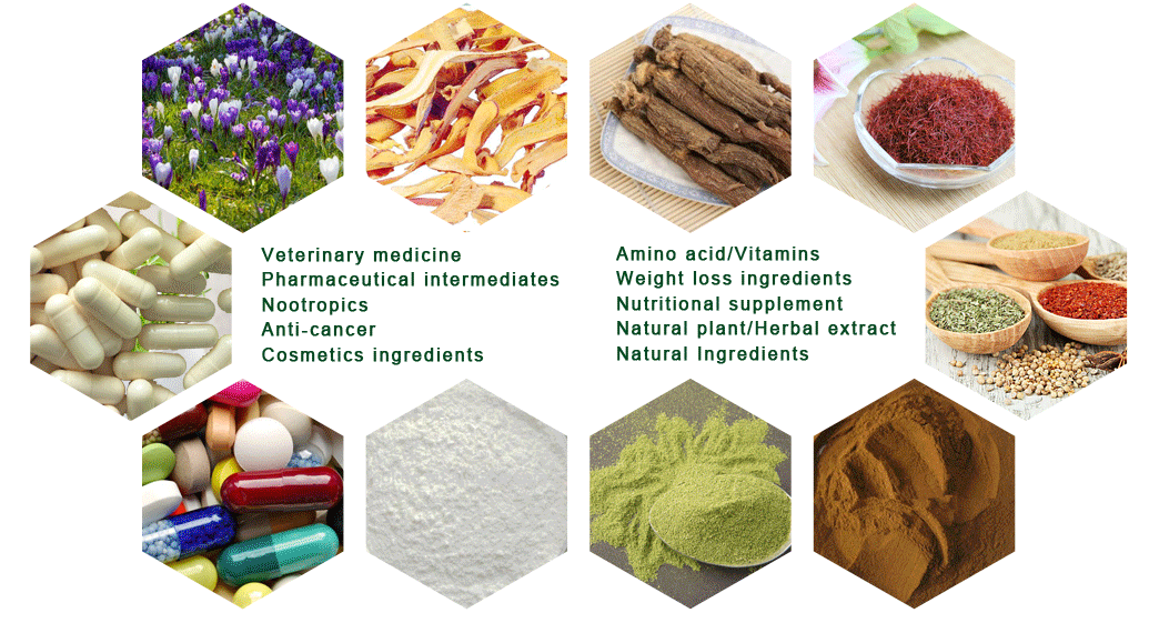 Food Grade Pure Natural Hemp Seed Extract 70% Protein Powder Organic Hemp Protein Powder Healthcare Supplement