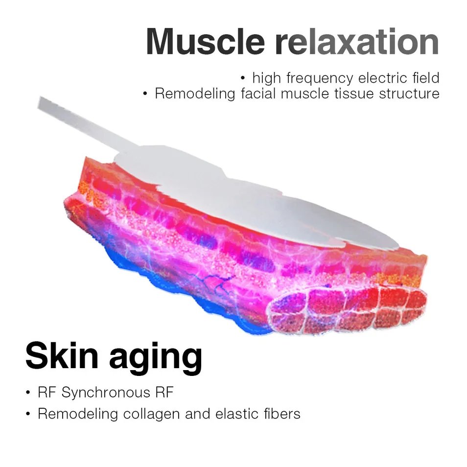 Portable EMS Muscle Build Stimulator Facial Lifting Beauty Machine