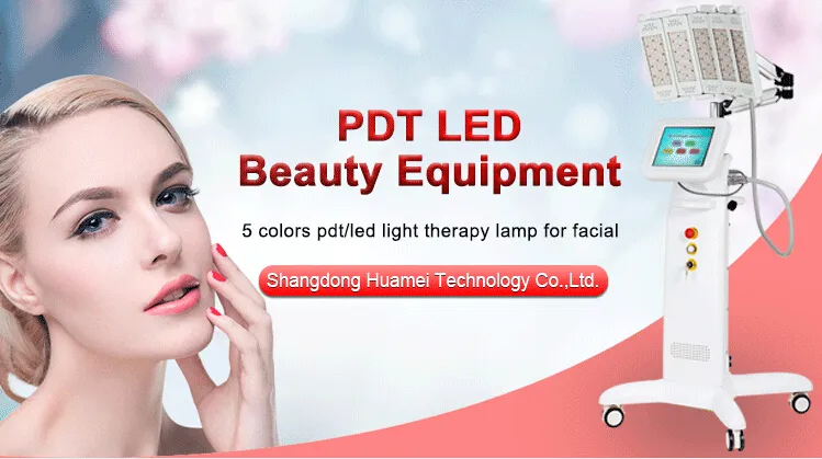 Facial Salon SPA Beauty Equipment LED Face Skin Care Light Therapy PDT Machine