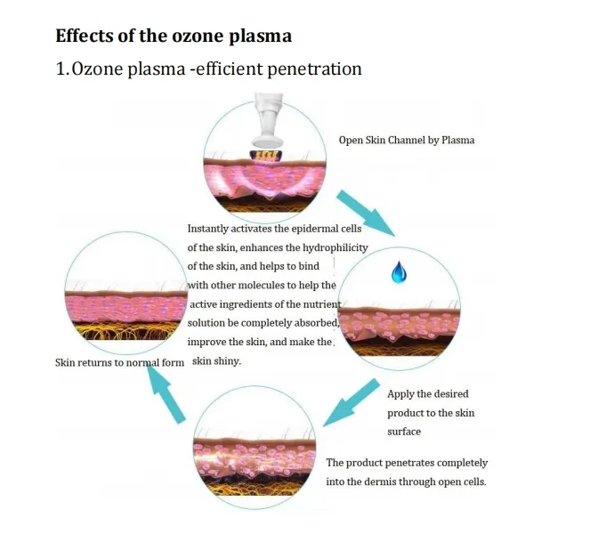 Ozone Plasma Pen Operation Display