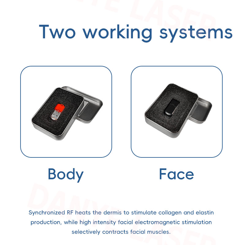 Non-Invasive EMS RF Skin Firming Face Lifting Facial Massage Muscle Stimulation Machine