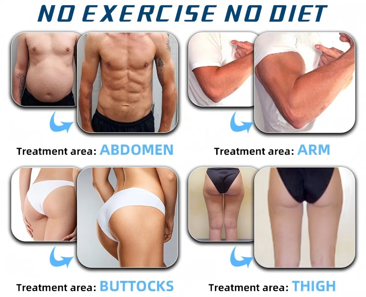 Fat Reduction and Muscle Gain Diagram