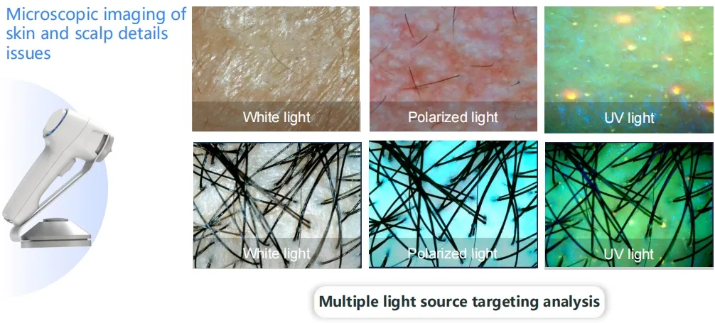 Spectral analysis examples