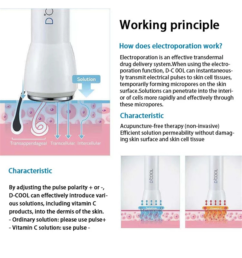 3 in 1 Electroporation Skin Rejuvenation Cooling Facial Treatment Machine D Cool With EMS Facial Machine