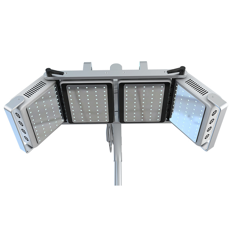 Anti Aging Phototherapy PDT LED Light Facial Beauty Machine