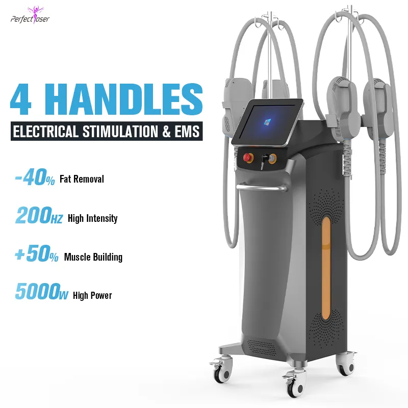 EMS Facial Rejuvenation RF Machine Grid 2