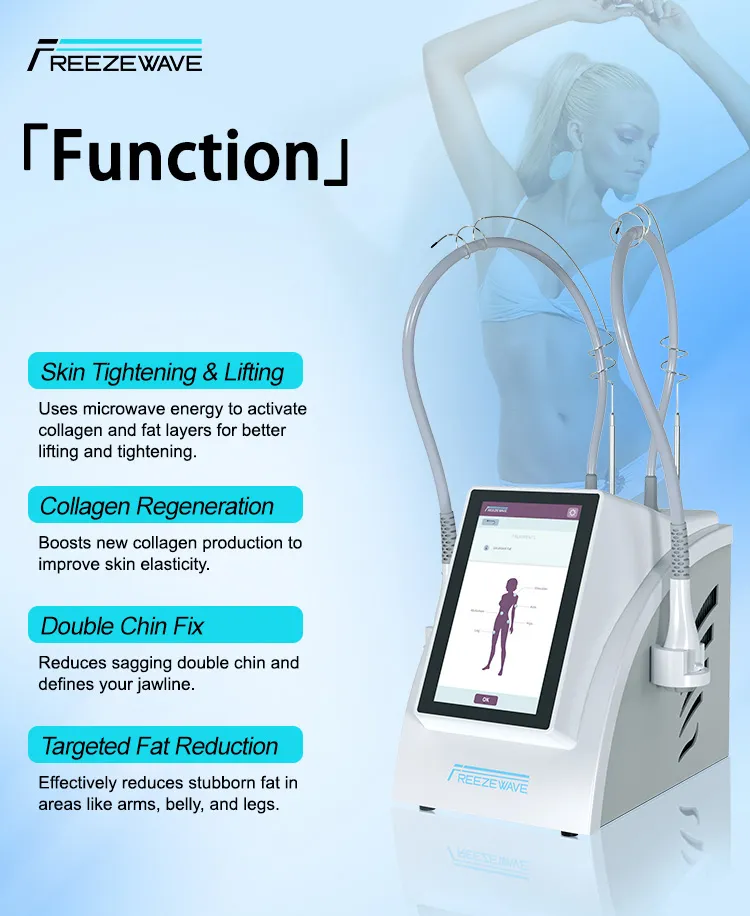 Microwave Lipolysis System Details